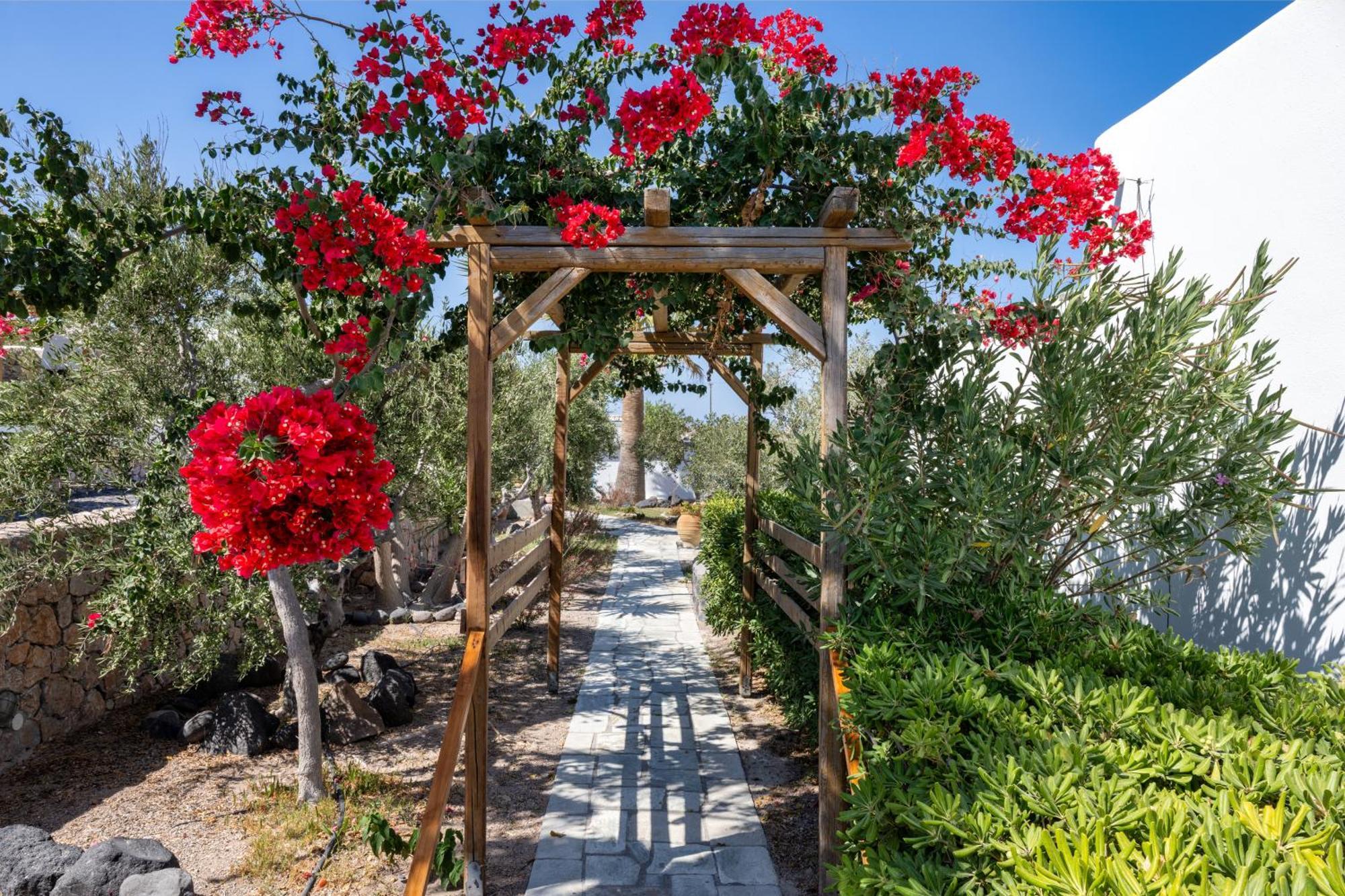 Anema Boutique Hotel & Villas Santorini Vourvoúlos Exterior foto